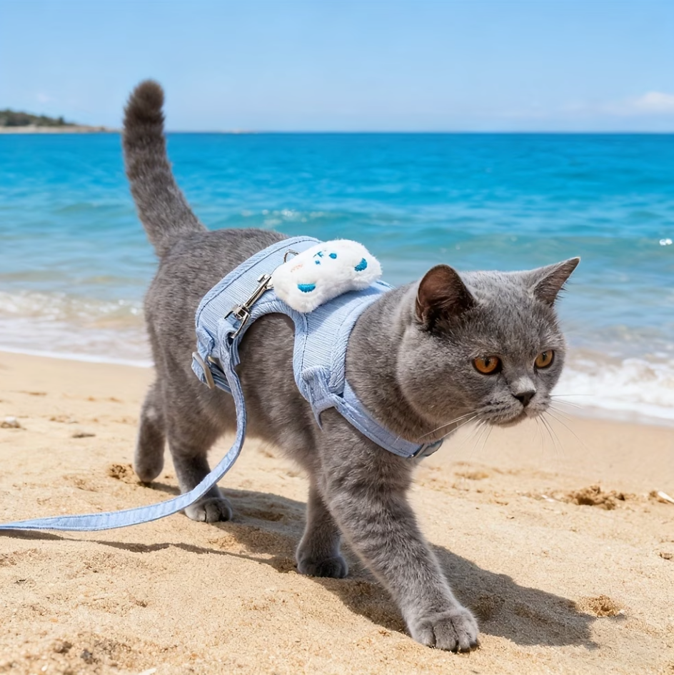 PawFit