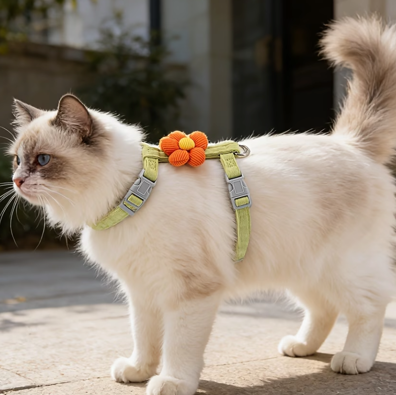 BloomPaw